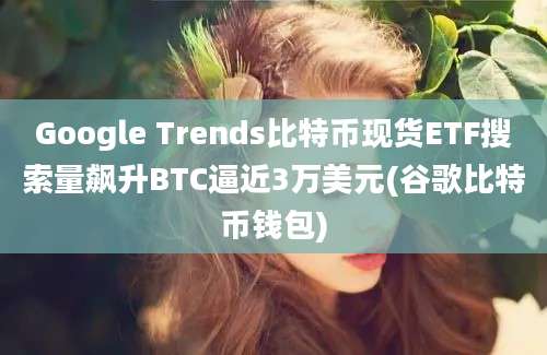 Google Trends比特币现货ETF搜索量飙升BTC逼近3万美元(谷歌比特币钱包)