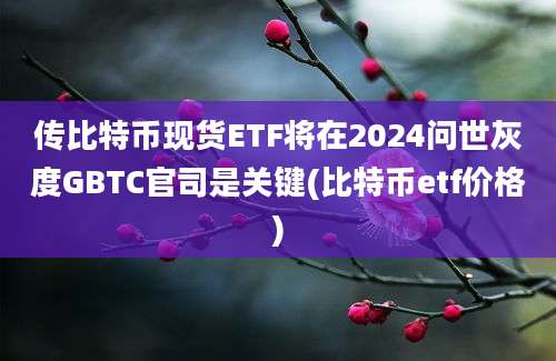 传比特币现货ETF将在2024问世灰度GBTC官司是关键(比特币etf价格)