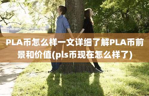 PLA币怎么样一文详细了解PLA币前景和价值(pls币现在怎么样了)