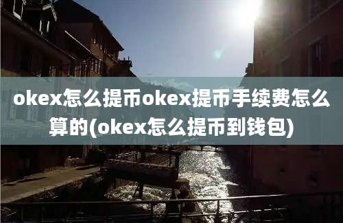 okex怎么提币okex提币手续费怎么算的(okex怎么提币到钱包)