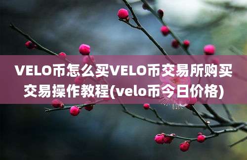 VELO币怎么买VELO币交易所购买交易操作教程(velo币今日价格)