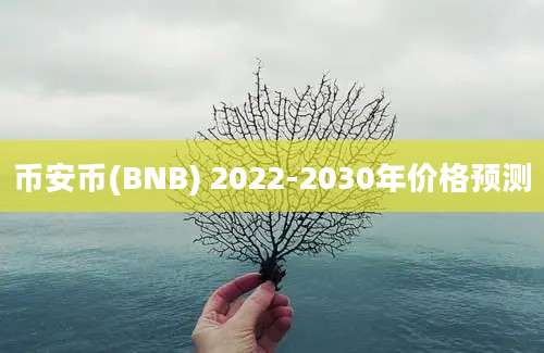 币安币(BNB) 2022-2030年价格预测