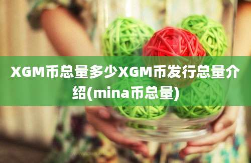 XGM币总量多少XGM币发行总量介绍(mina币总量)