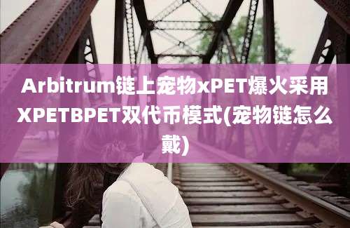 Arbitrum链上宠物xPET爆火采用XPETBPET双代币模式(宠物链怎么戴)