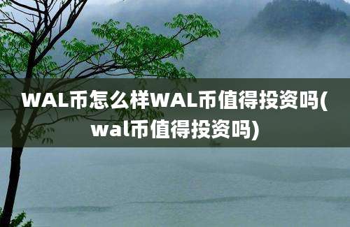 WAL币怎么样WAL币值得投资吗(wal币值得投资吗)