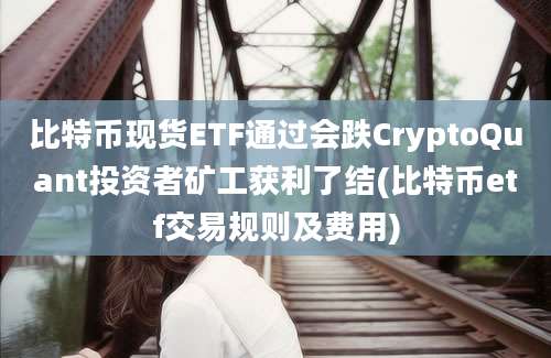 比特币现货ETF通过会跌CryptoQuant投资者矿工获利了结(比特币etf交易规则及费用)