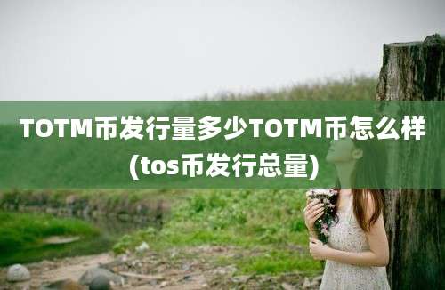 TOTM币发行量多少TOTM币怎么样(tos币发行总量)