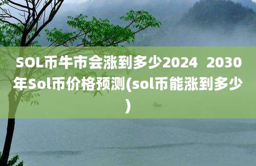 SOL币牛市会涨到多少2024  2030年Sol币价格预测(sol币能涨到多少)