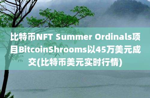 比特币NFT Summer Ordinals项目BitcoinShrooms以45万美元成交(比特币美元实时行情)