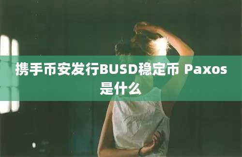 携手币安发行BUSD稳定币 Paxos是什么