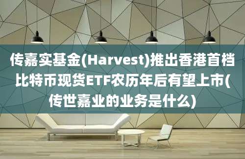 传嘉实基金(Harvest)推出香港首档比特币现货ETF农历年后有望上市(传世嘉业的业务是什么)