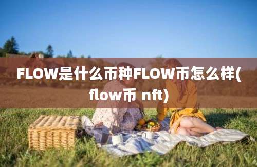 FLOW是什么币种FLOW币怎么样(flow币 nft)