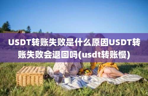 USDT转账失败是什么原因USDT转账失败会退回吗(usdt转账慢)