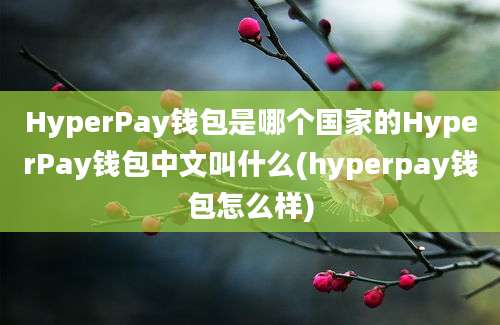 HyperPay钱包是哪个国家的HyperPay钱包中文叫什么(hyperpay钱包怎么样)