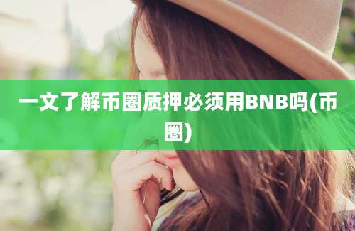 一文了解币圈质押必须用BNB吗(币圈)