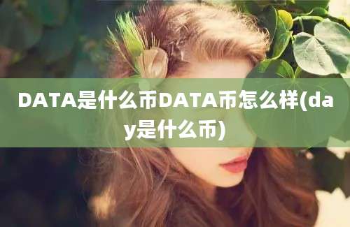 DATA是什么币DATA币怎么样(day是什么币)