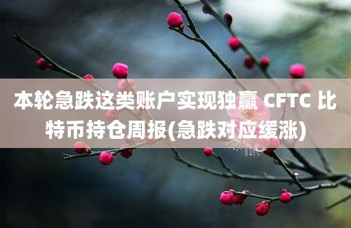 本轮急跌这类账户实现独赢 CFTC 比特币持仓周报(急跌对应缓涨)