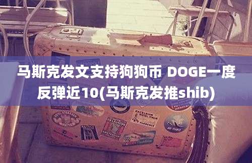 马斯克发文支持狗狗币 DOGE一度反弹近10(马斯克发推shib)