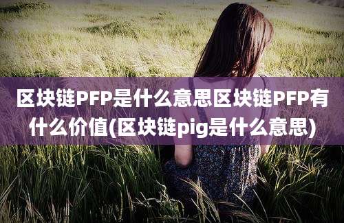 区块链PFP是什么意思区块链PFP有什么价值(区块链pig是什么意思)