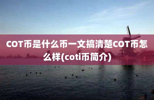 COT币是什么币一文搞清楚COT币怎么样(coti币简介)