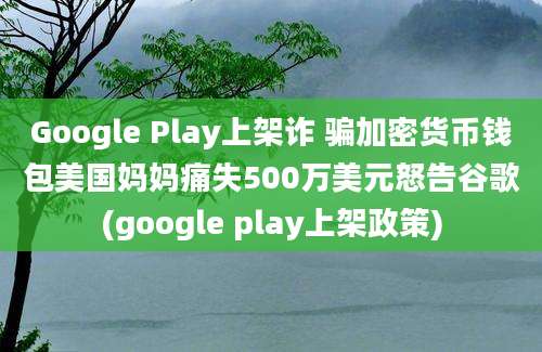 Google Play上架诈 骗加密货币钱包美国妈妈痛失500万美元怒告谷歌(google play上架政策)