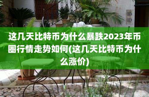 这几天比特币为什么暴跌2023年币圈行情走势如何(这几天比特币为什么涨价)