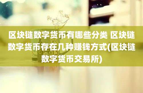 区块链数字货币有哪些分类 区块链数字货币存在几种赚钱方式(区块链数字货币交易所)