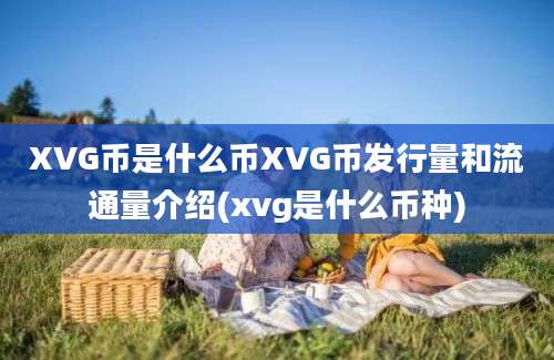 XVG币是什么币XVG币发行量和流通量介绍(xvg是什么币种)