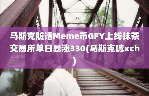 马斯克脏话Meme币GFY上线抹茶交易所单日暴涨330(马斯克喊xch)