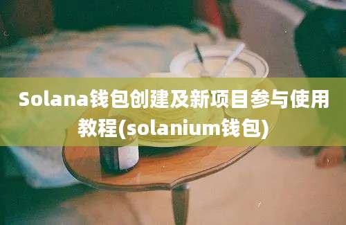 Solana钱包创建及新项目参与使用教程(solanium钱包)