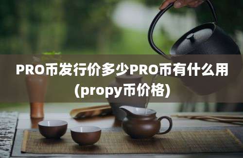 PRO币发行价多少PRO币有什么用(propy币价格)