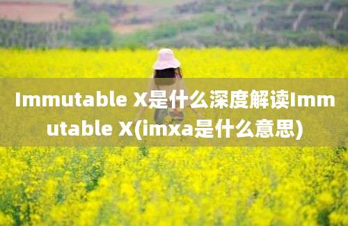 Immutable X是什么深度解读Immutable X(imxa是什么意思)