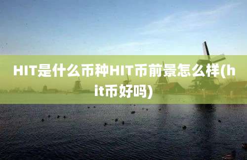 HIT是什么币种HIT币前景怎么样(hit币好吗)