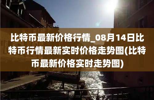 比特币最新价格行情_08月14日比特币行情最新实时价格走势图(比特币最新价格实时走势图)