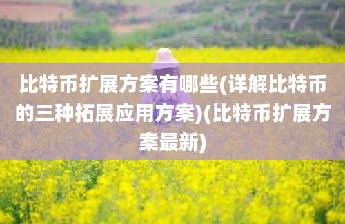 比特币扩展方案有哪些(详解比特币的三种拓展应用方案)(比特币扩展方案最新)