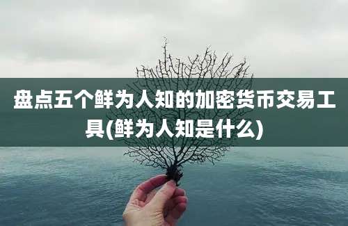 盘点五个鲜为人知的加密货币交易工具(鲜为人知是什么)