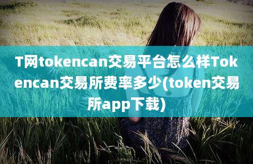 T网tokencan交易平台怎么样Tokencan交易所费率多少(token交易所app下载)