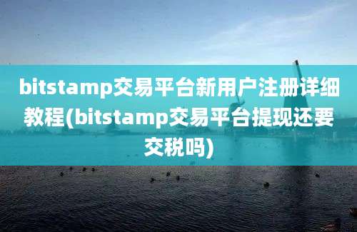 bitstamp交易平台新用户注册详细教程(bitstamp交易平台提现还要交税吗)