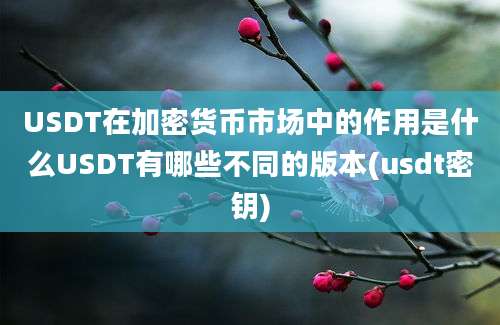 USDT在加密货币市场中的作用是什么USDT有哪些不同的版本(usdt密钥)