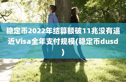 稳定币2022年结算额破11兆没有逼近Visa全年支付规模(稳定币dusd)