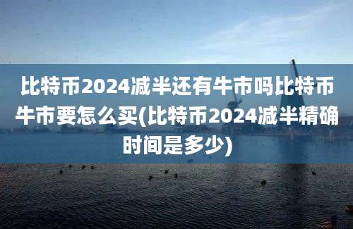 比特币2024减半还有牛市吗比特币牛市要怎么买(比特币2024减半精确时间是多少)