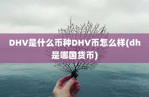 DHV是什么币种DHV币怎么样(dh是哪国货币)