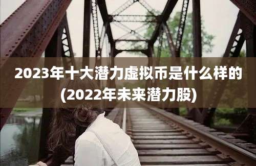 2023年十大潜力虚拟币是什么样的(2022年未来潜力股)