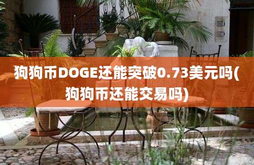 狗狗币DOGE还能突破0.73美元吗(狗狗币还能交易吗)