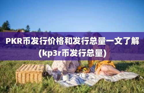 PKR币发行价格和发行总量一文了解(kp3r币发行总量)