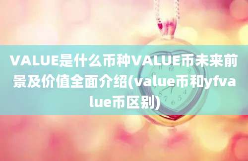 VALUE是什么币种VALUE币未来前景及价值全面介绍(value币和yfvalue币区别)