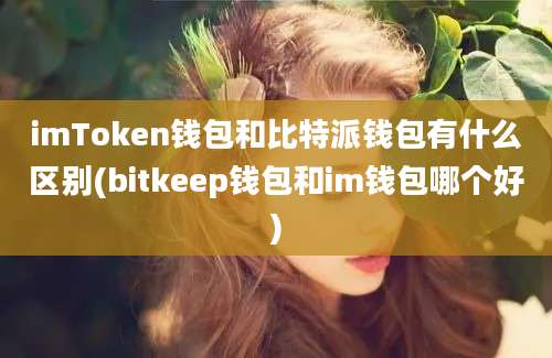 imToken钱包和比特派钱包有什么区别(bitkeep钱包和im钱包哪个好)