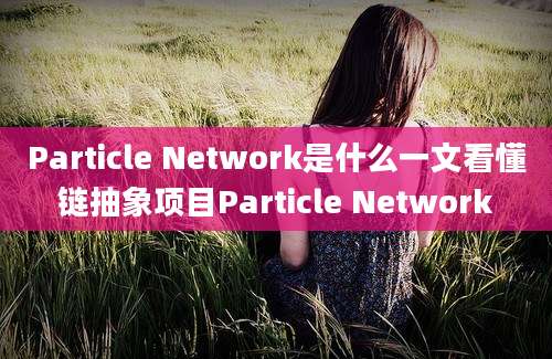 Particle Network是什么一文看懂链抽象项目Particle Network