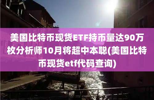 美国比特币现货ETF持币量达90万枚分析师10月将超中本聪(美国比特币现货etf代码查询)