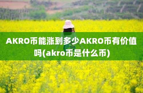 AKRO币能涨到多少AKRO币有价值吗(akro币是什么币)